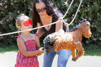 pinata