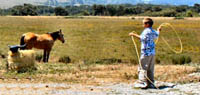 roping